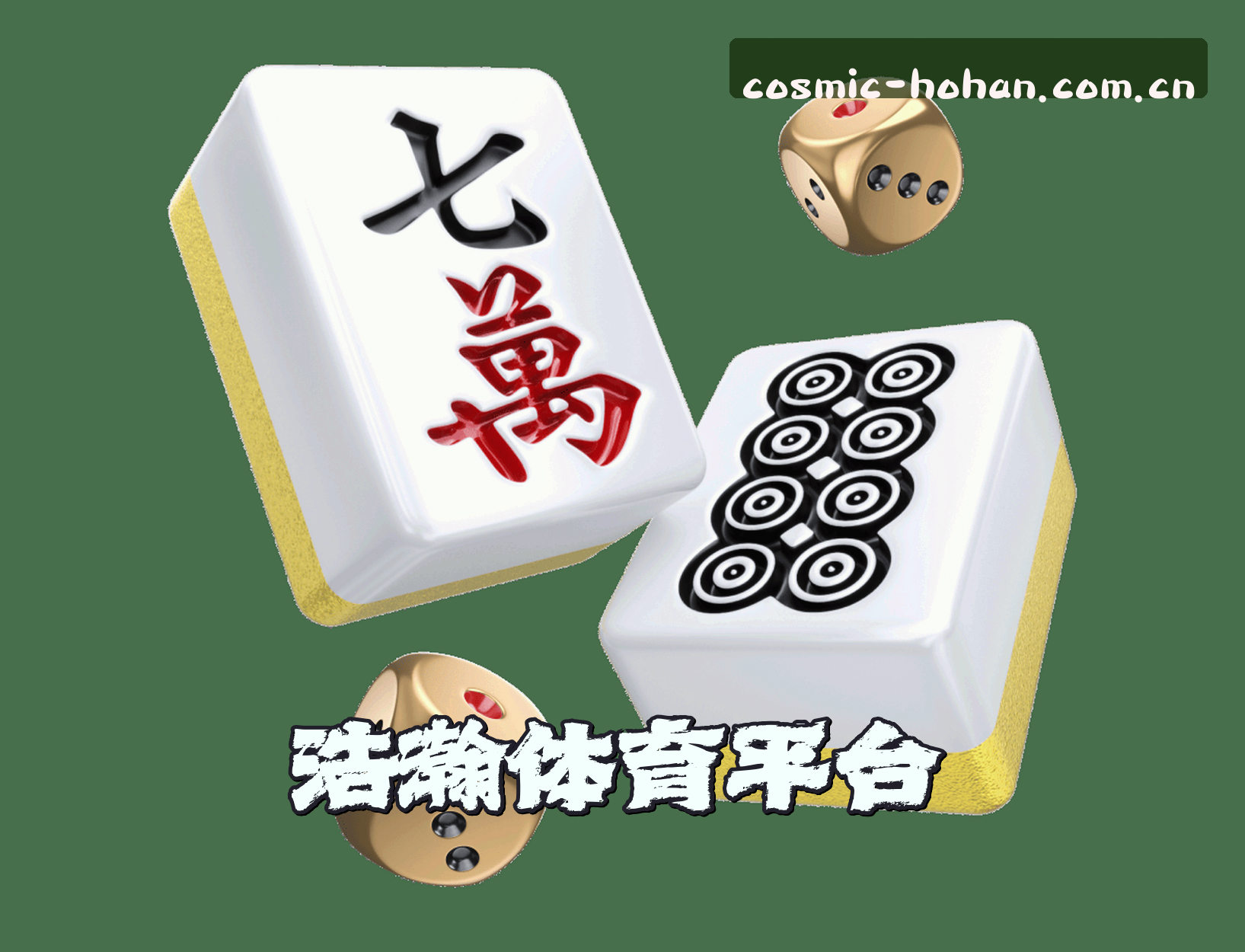 浩瀚体育(HOHAN)官方网站 - 领先行业的体育竞技平台